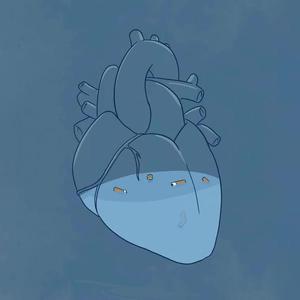 毛聳聳的陰戶特寫
