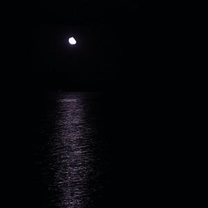 毛聳聳的陰戶特寫
