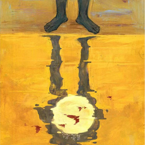 毛聳聳的陰戶特寫
