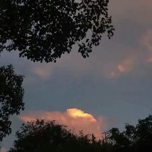 毛聳聳的陰戶特寫
