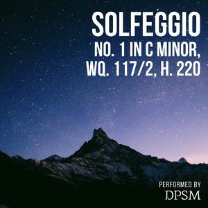 毛聳聳的陰戶特寫
