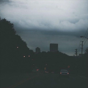 毛聳聳的陰戶特寫
